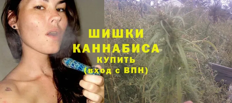 Бошки Шишки конопля  Вытегра 